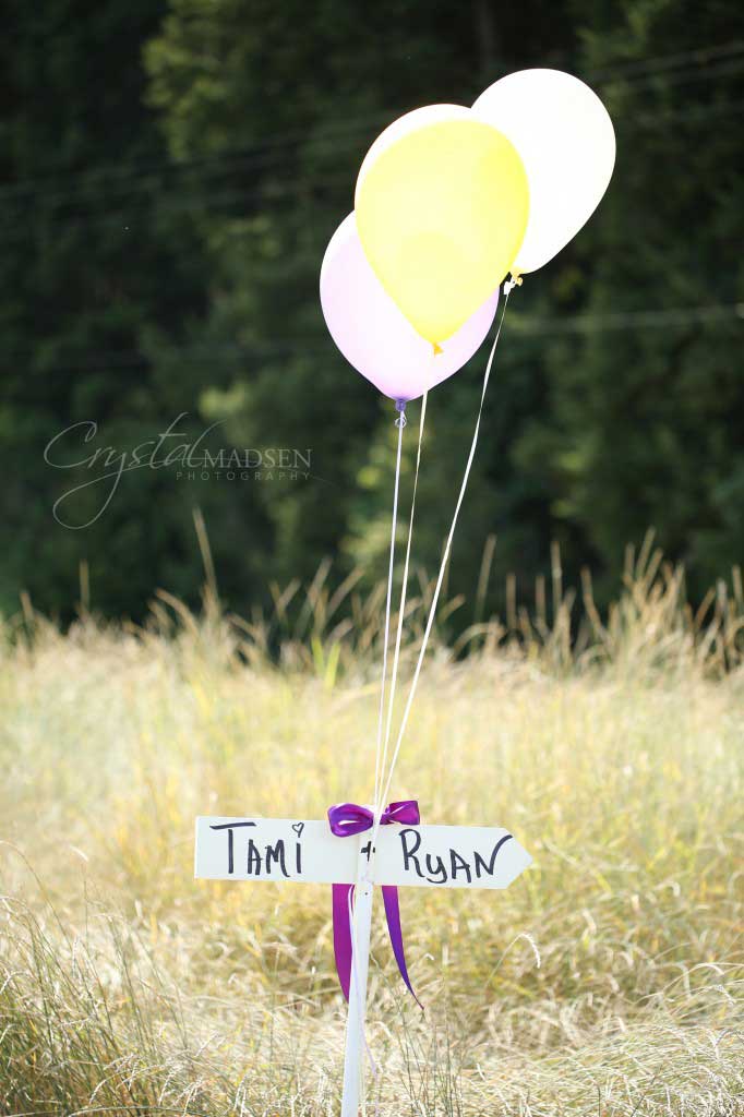 Flying Balloons to Love