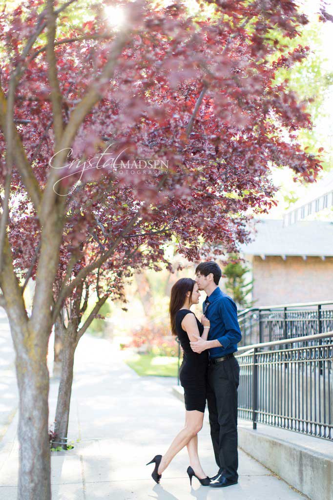 Gorgeous Engagement Photos