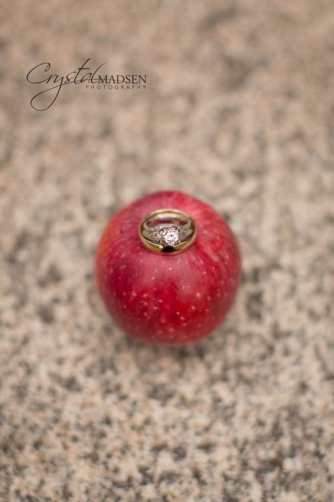 Spokane Wedding Details_021 Wedding Rings atop an Apple